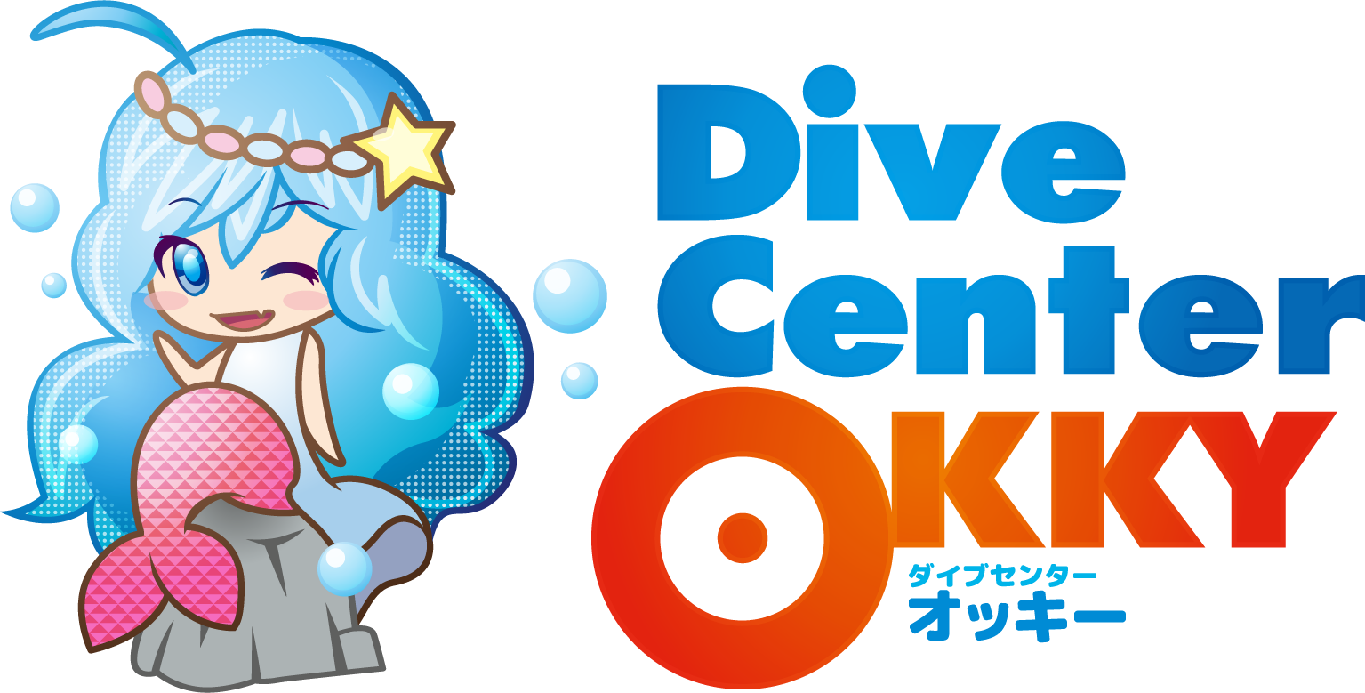ダイブセンターOKKY | 「奄美大島でウミガメと泳ぐシュノーケリング